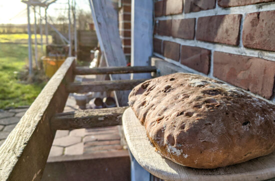 TOMATEN CIABATTA